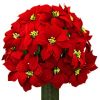 Grounds Flowers - Image 3
